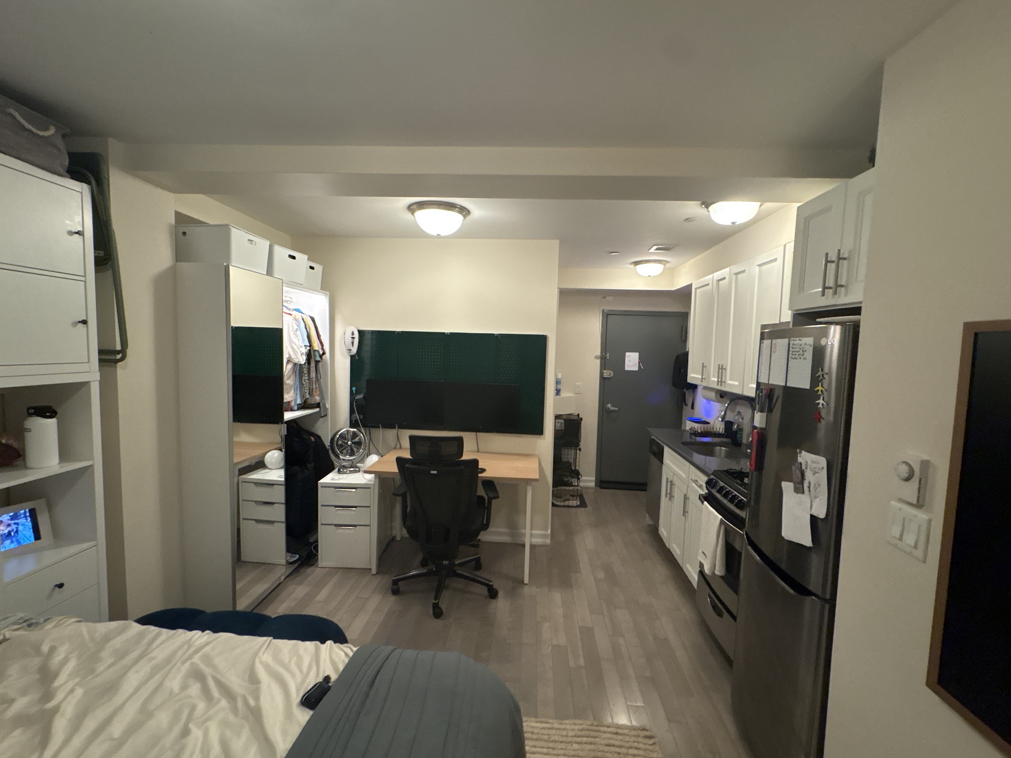 After: anteater's space